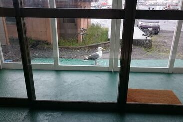 膳宿费 Ryokan Saihokutei