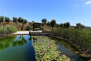 Wecamp Reserva Alecrim