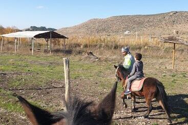 בית מלון כפרי Le Vallon Vert   Club Equestre