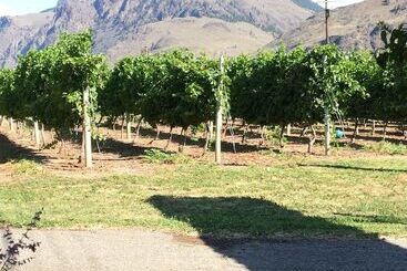 تختخواب و صبحانه Crowsnest Vineyards Guesthouse