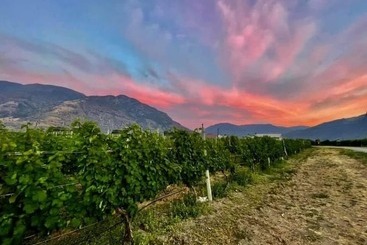 تختخواب و صبحانه Crowsnest Vineyards Guesthouse