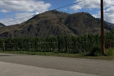 تختخواب و صبحانه Crowsnest Vineyards Guesthouse