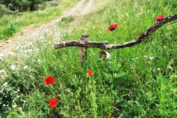پانسیون Essenza Sardegna