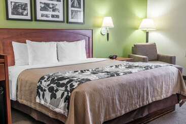 ホテル Sleep Inn & Suites Conference Center And Water Park