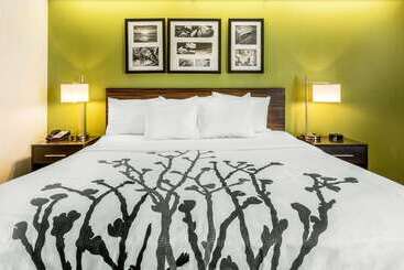 هتل Sleep Inn Charleston  West Ashley