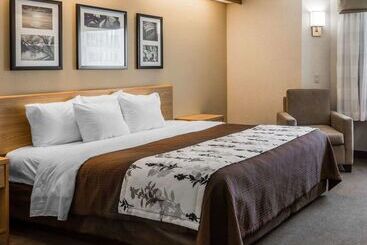هتل Sleep Inn Lynchburg   University Area & Hwy 460