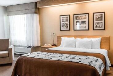 هتل Sleep Inn Lynchburg   University Area & Hwy 460
