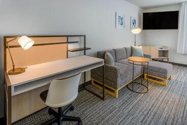 هتل Towneplace Suites New Orleans Metairie