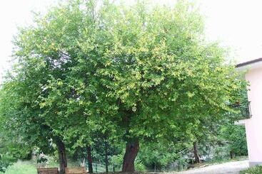 هتل روستایی Il Ruscello Di Ceraso