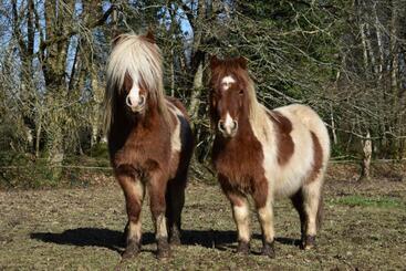住宿加早餐  L écrin De Pradou Glas