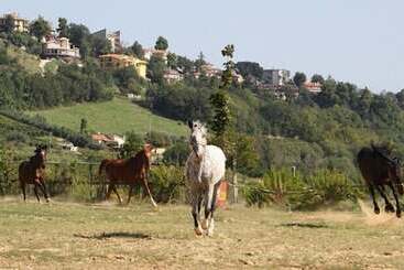 هتل روستایی Agriturismo Vecchia Monta