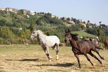 هتل روستایی Agriturismo Vecchia Monta