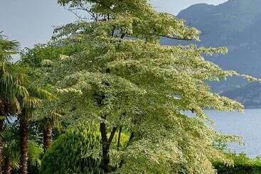 تختخواب و صبحانه Villa Ucci