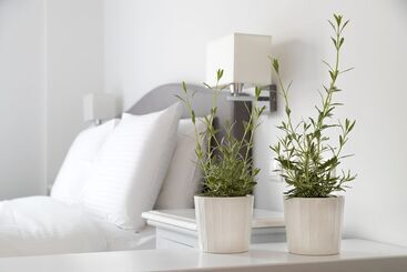 پانسیون Guesthouse Niriides