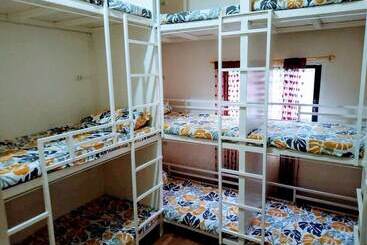 Bee Force Backpackers   Hostel
