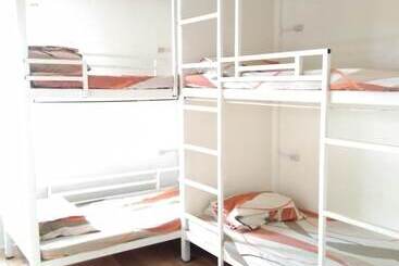 Bee Force Backpackers   Hostel