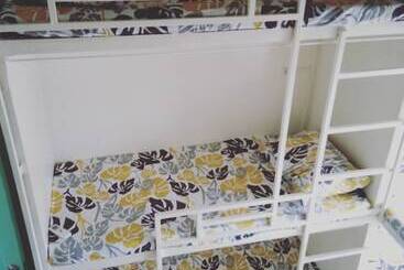 Bee Force Backpackers   Hostel