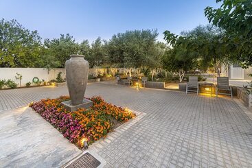 Comfort Stay Airport Studios   Free Shuttle From The Athens Airport
