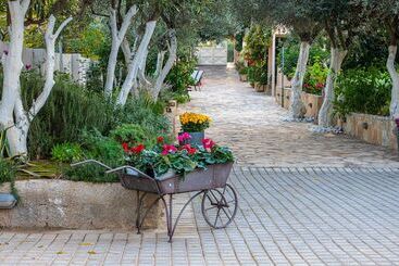 Comfort Stay Airport Studios   Free Shuttle From The Athens Airport
