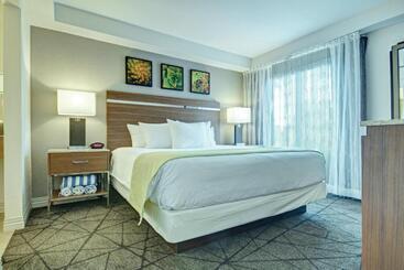 هتل Desert Rose Resort