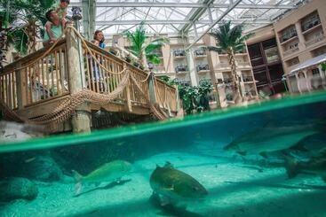 هتل Gaylord Palms Resort & Convention Center