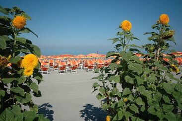 هتل Mediterraneo Palace
