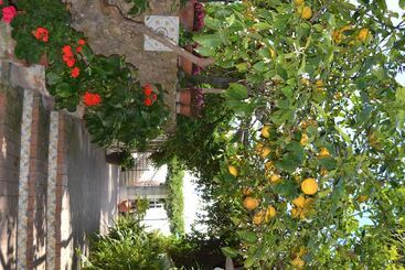 Piccolo Tirreno Hotel Residence - Procida - Procida Island