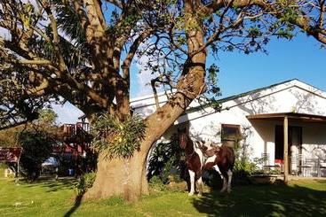 צימר Kei Mouth Guest Lodge