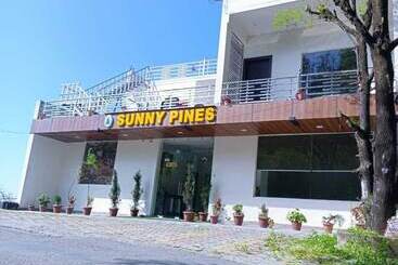 هتل Sunny Pines Resort