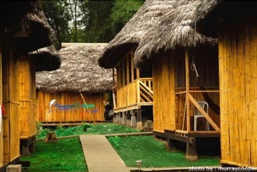 هتل Amazon Dolphin Lodge