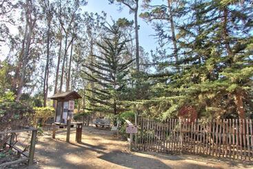 هتل Butterfly Grove Inn