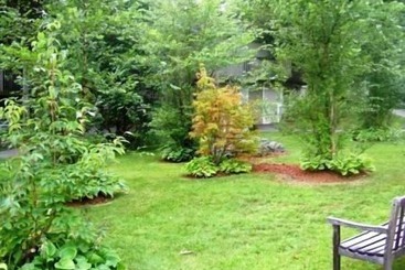 هتل Cedar Park Inn