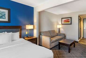 هتل Comfort Inn & Suites Grand Blanc Flint