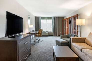 هتل Comfort Inn & Suites Grand Blanc Flint