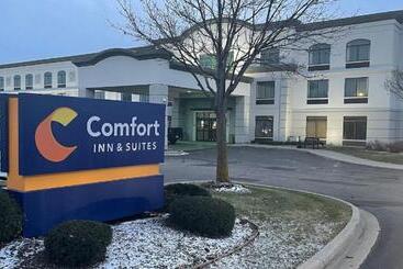 هتل Comfort Inn & Suites Grand Blanc Flint