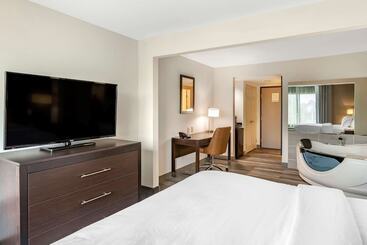 هتل Comfort Inn & Suites Grand Blanc Flint