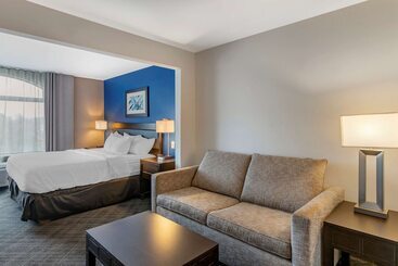 هتل Comfort Inn & Suites Grand Blanc Flint