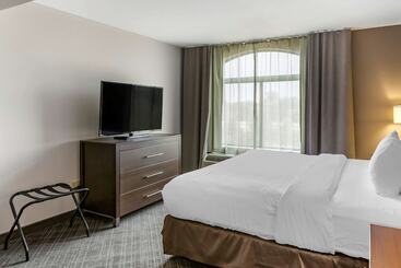 هتل Comfort Inn & Suites Grand Blanc Flint