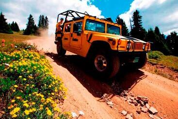 هتل Mountain Thunder Lodge