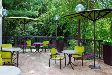 هتل Springhill Suites Asheville