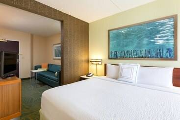 酒店 Springhill Suites Austin South