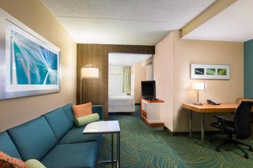 酒店 Springhill Suites Austin South