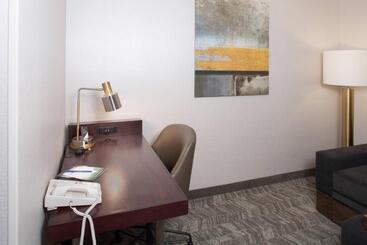 هتل Springhill Suites By Marriott Billings
