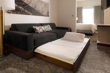 בית מלון כפרי Springhill Suites By Marriott Austin The Domain Area