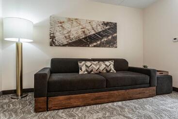 בית מלון כפרי Springhill Suites By Marriott Austin The Domain Area