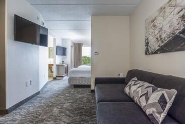 בית מלון כפרי Springhill Suites By Marriott Austin The Domain Area