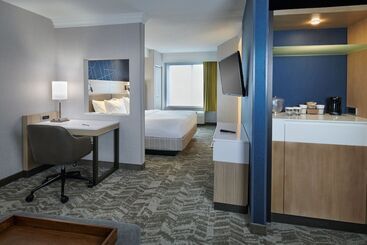 בית מלון כפרי Springhill Suites Detroit Southfield