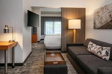 هتل Springhill Suites By Marriott Hershey Near The Park