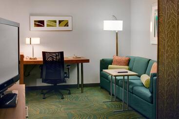 هتل Springhill Suites By Marriott Lansing