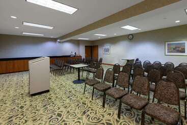 هتل Wingate By Wyndham Houston / Willowbrook